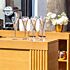 Lot de 24 gobelets Eau Nologue 37 cl