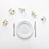 Pack vaisselle blanche - Plat (24 pers)