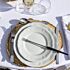 Lot de 40 grandes assiettes blanches élégantes Ø 26 cm