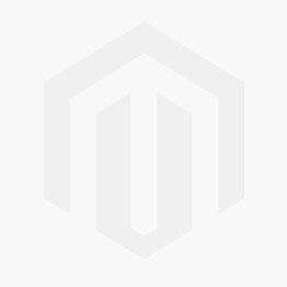 Pack Enceinte JBL 240 W + 2 micros