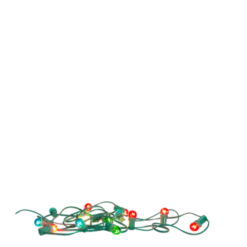 all:0000021792_800.png