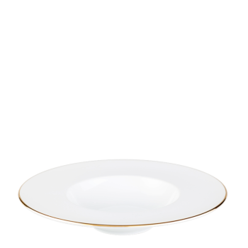Lot de 20 Assiettes creuses Plane Filet Or 27 cm
